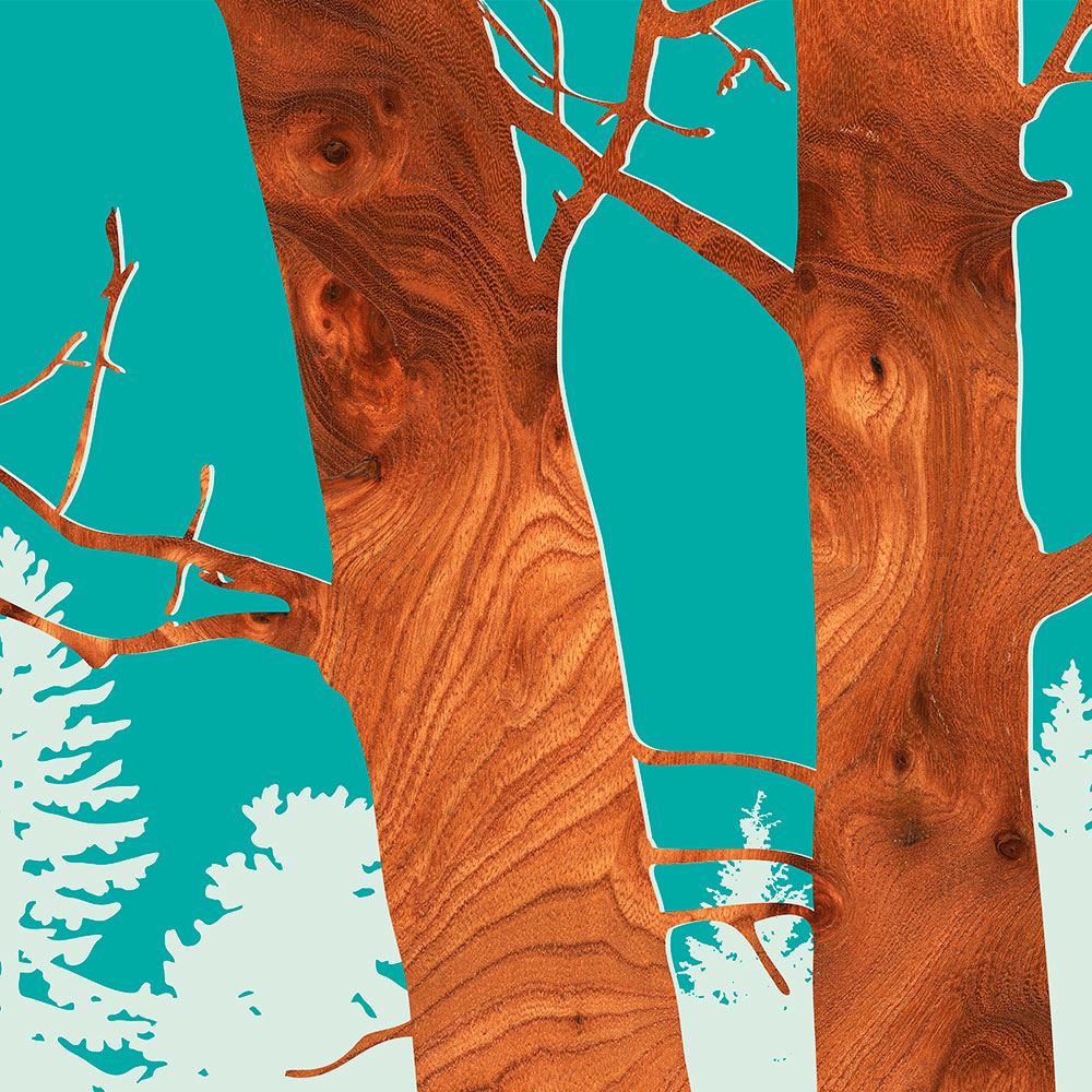 Red Alder Nothwest forests tree wall Art Print