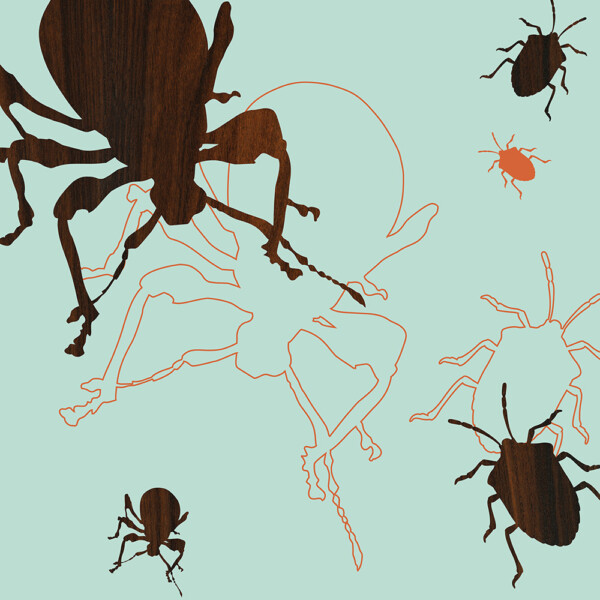 blue orange garden beetles insect animal print