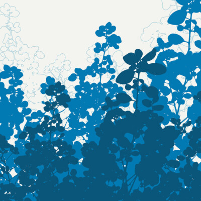 blue meadow flowers botanicals wall art Print