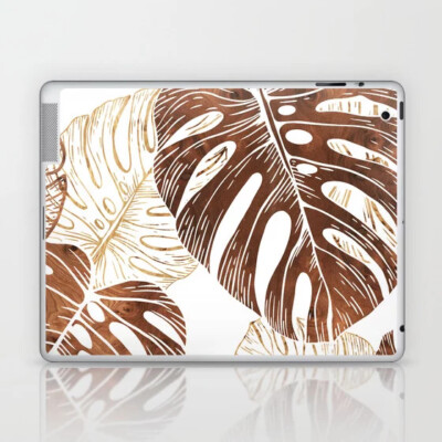 laptop and ipad skins